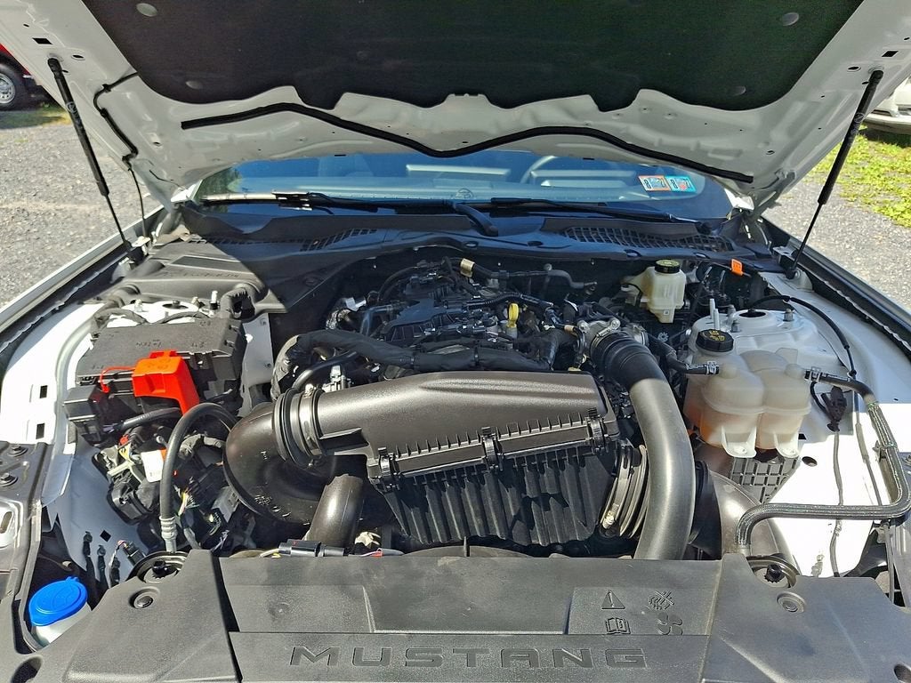2024 Ford Mustang EcoBoost Fastback