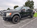 2009 Ford F-150 FX4