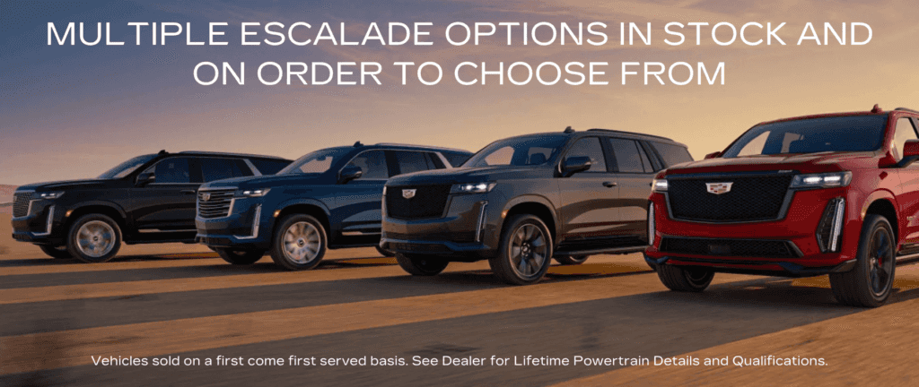 ESCALADE SELECTION