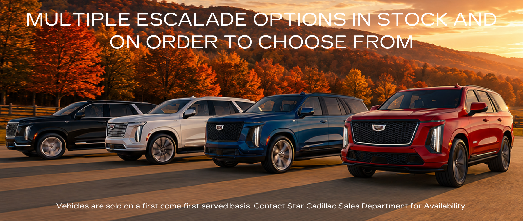 ESCALADE SELECTION